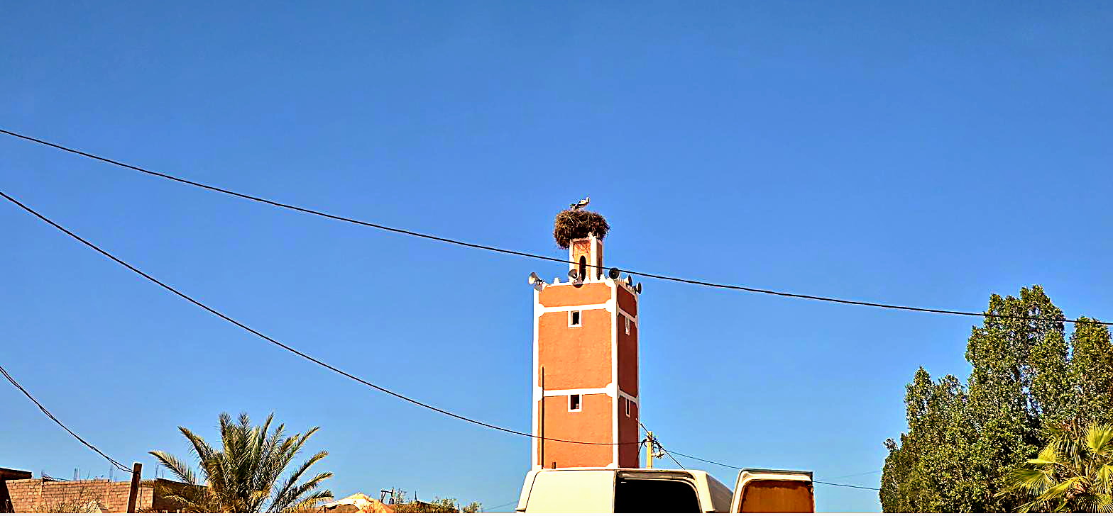 Ciudades Imperiales, foto 39