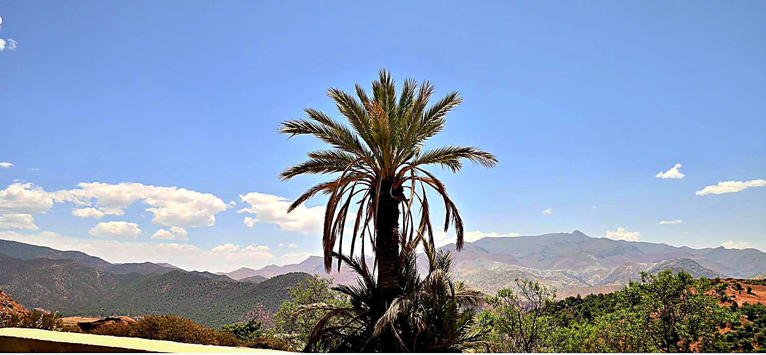 Ruta de las Kasbahs, foto 23