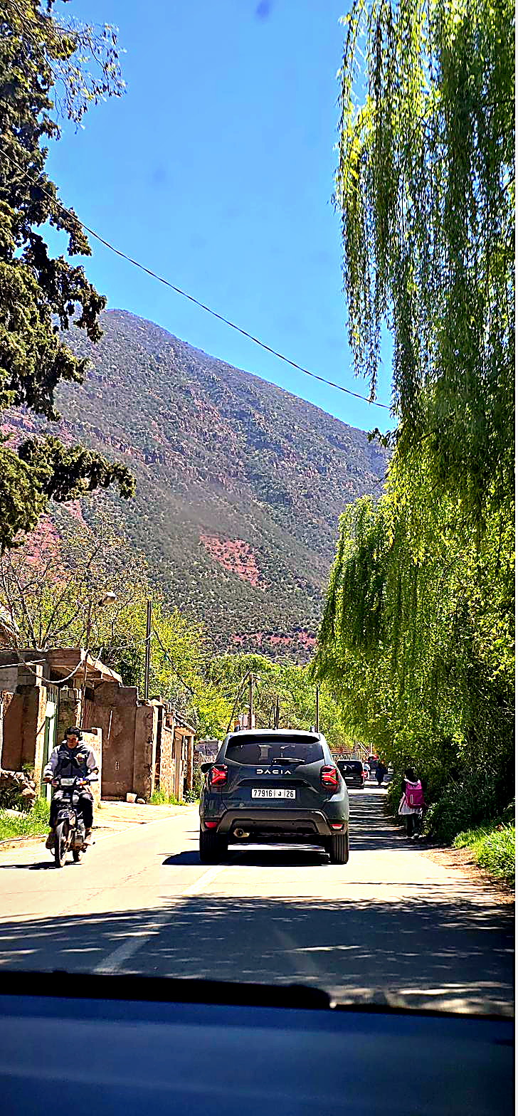 Montañas del Atlas, foto 16
