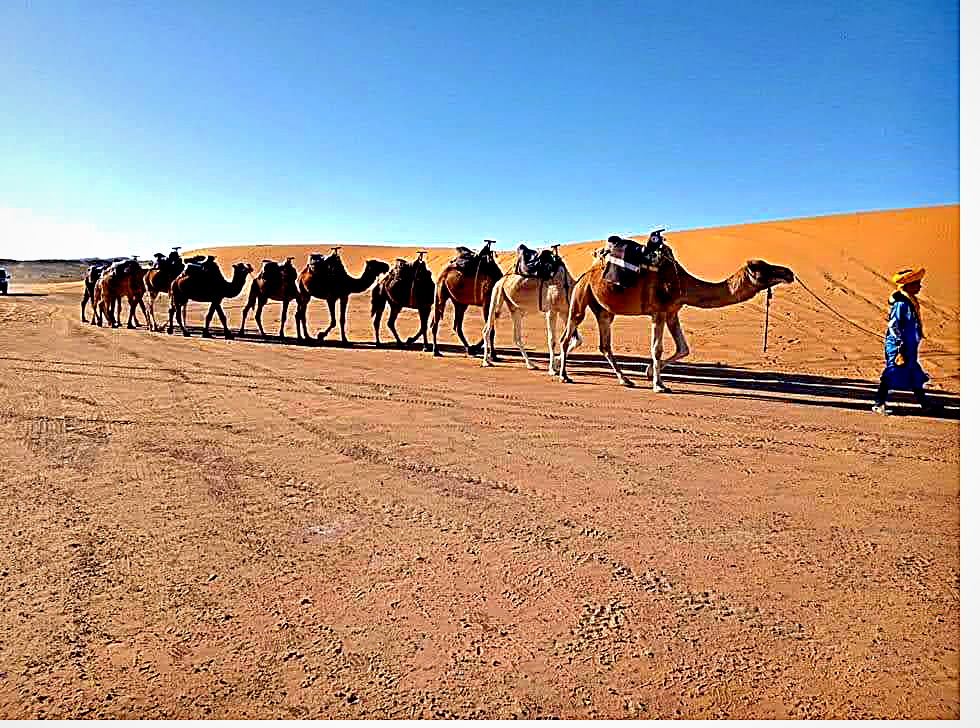 Desierto del Sáhara, foto 5